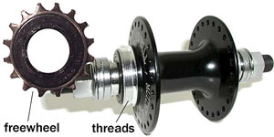 bmx freewheel sizes